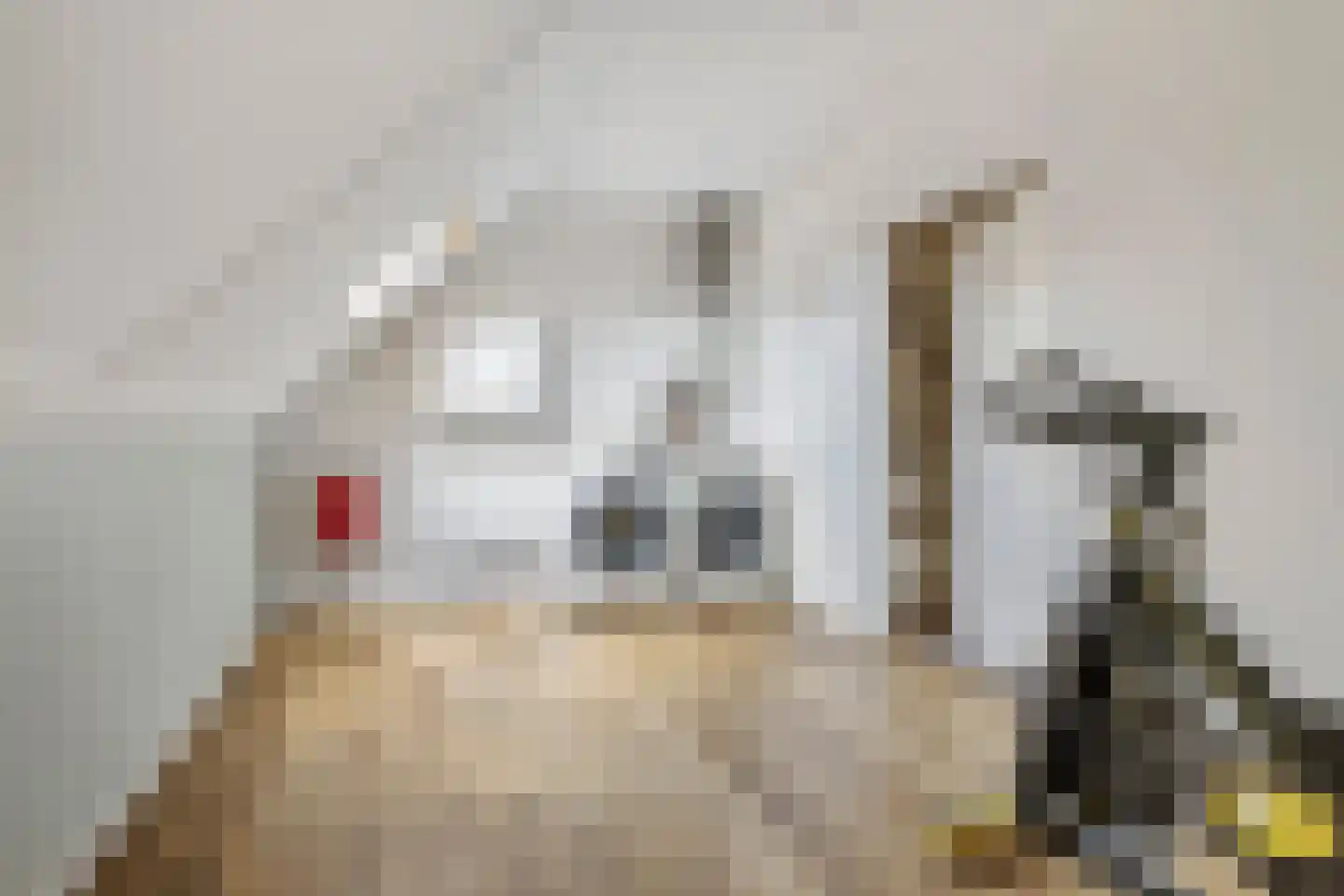 Pippelinghof 23 Maurik thumbnail 32