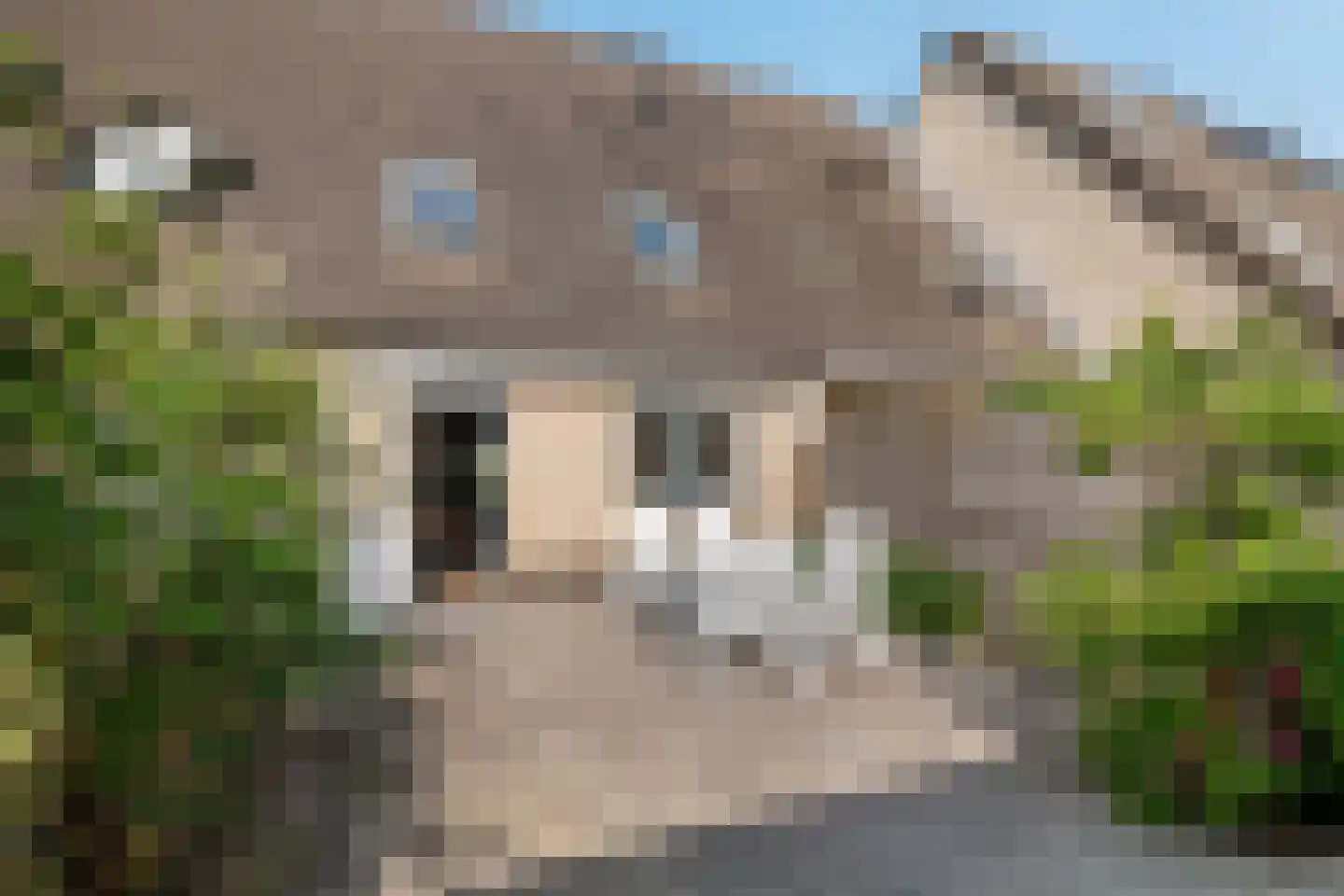 Pippelinghof 23 Maurik thumbnail 34