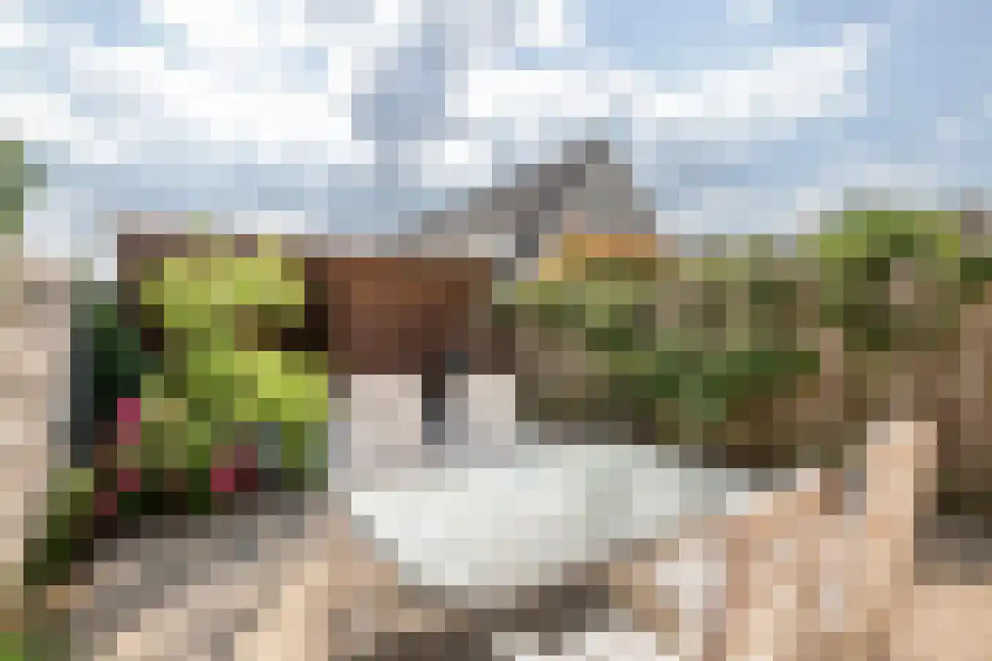 Pippelinghof 23 Maurik thumbnail 36
