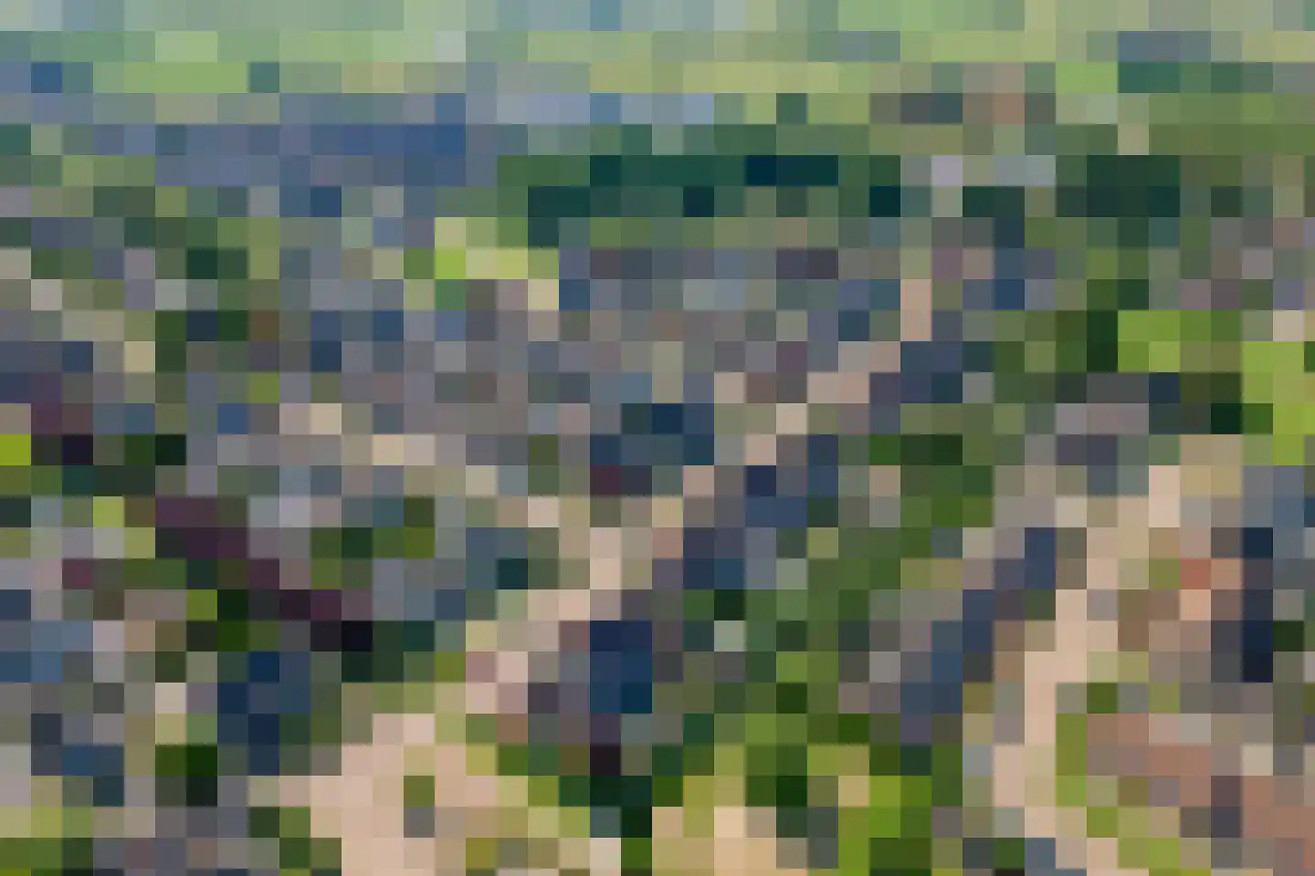 Pippelinghof 23 Maurik thumbnail 41