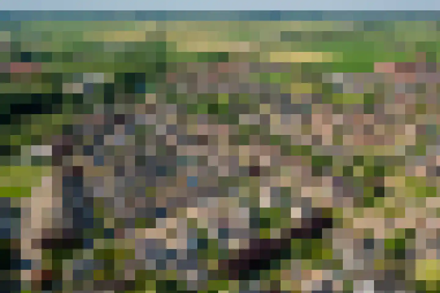 Pippelinghof 23 Maurik thumbnail 43