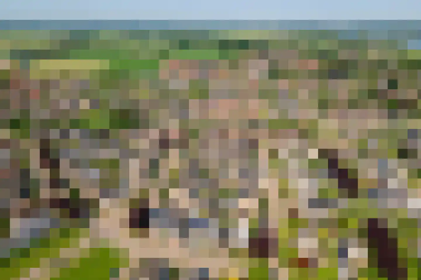 Pippelinghof 23 Maurik thumbnail 44
