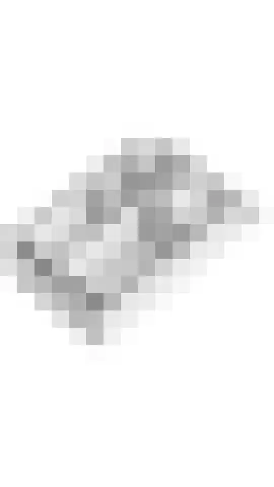 Pippelinghof 23 Maurik thumbnail 50