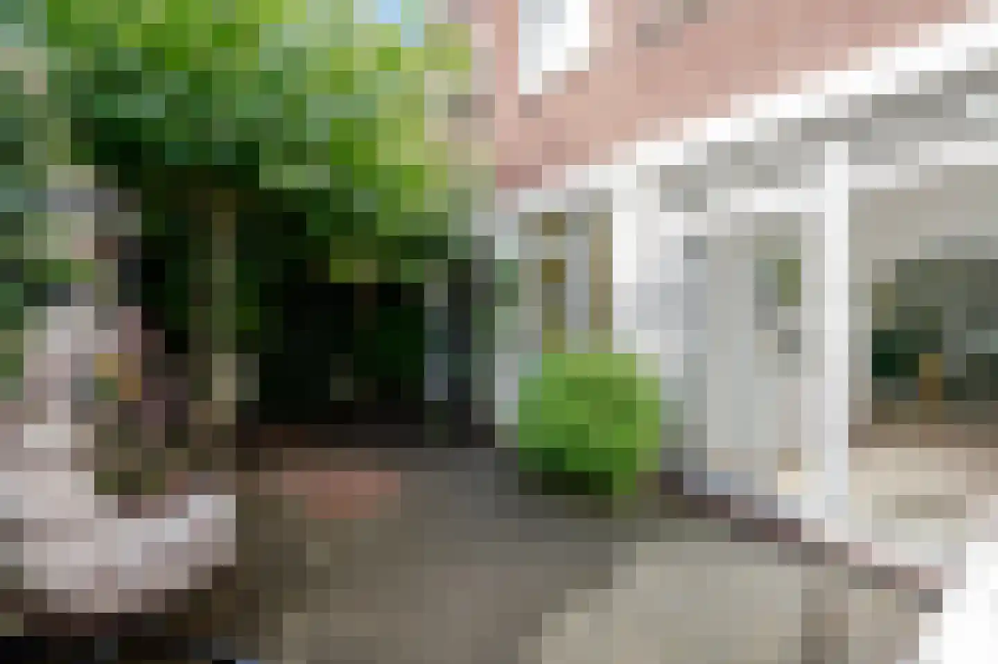 Pippelingstraat 122 Den Haag thumbnail 20