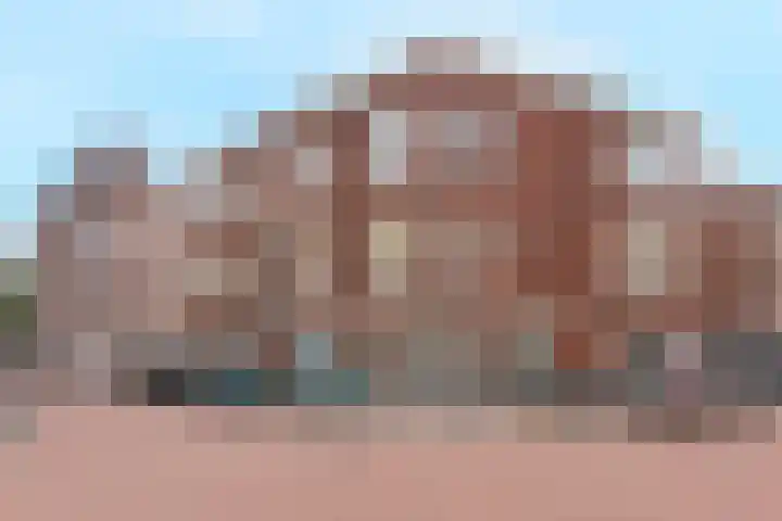 Pippelingstraat 155 Den Haag thumbnail 84
