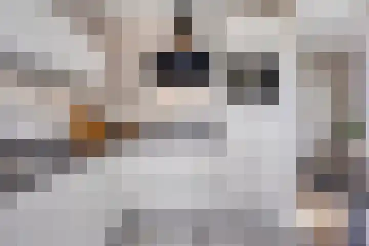 Pippelingstraat 16 Eindhoven thumbnail 13