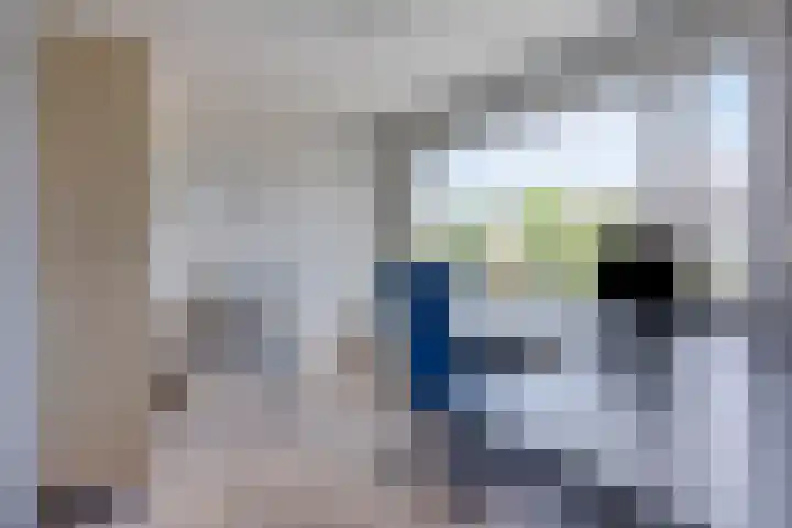 Pippelingstraat 16 Eindhoven thumbnail 22