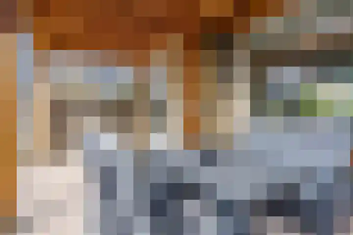 Pippelingstraat 16 Eindhoven thumbnail 32
