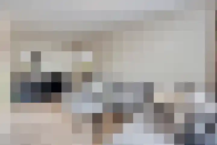 Pippelingstraat 16 Eindhoven thumbnail 9