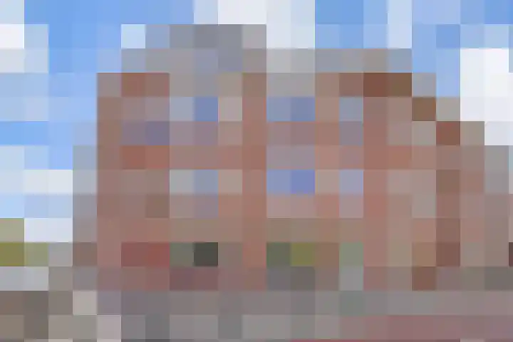 Pippelingstraat 2 Den Haag thumbnail 55
