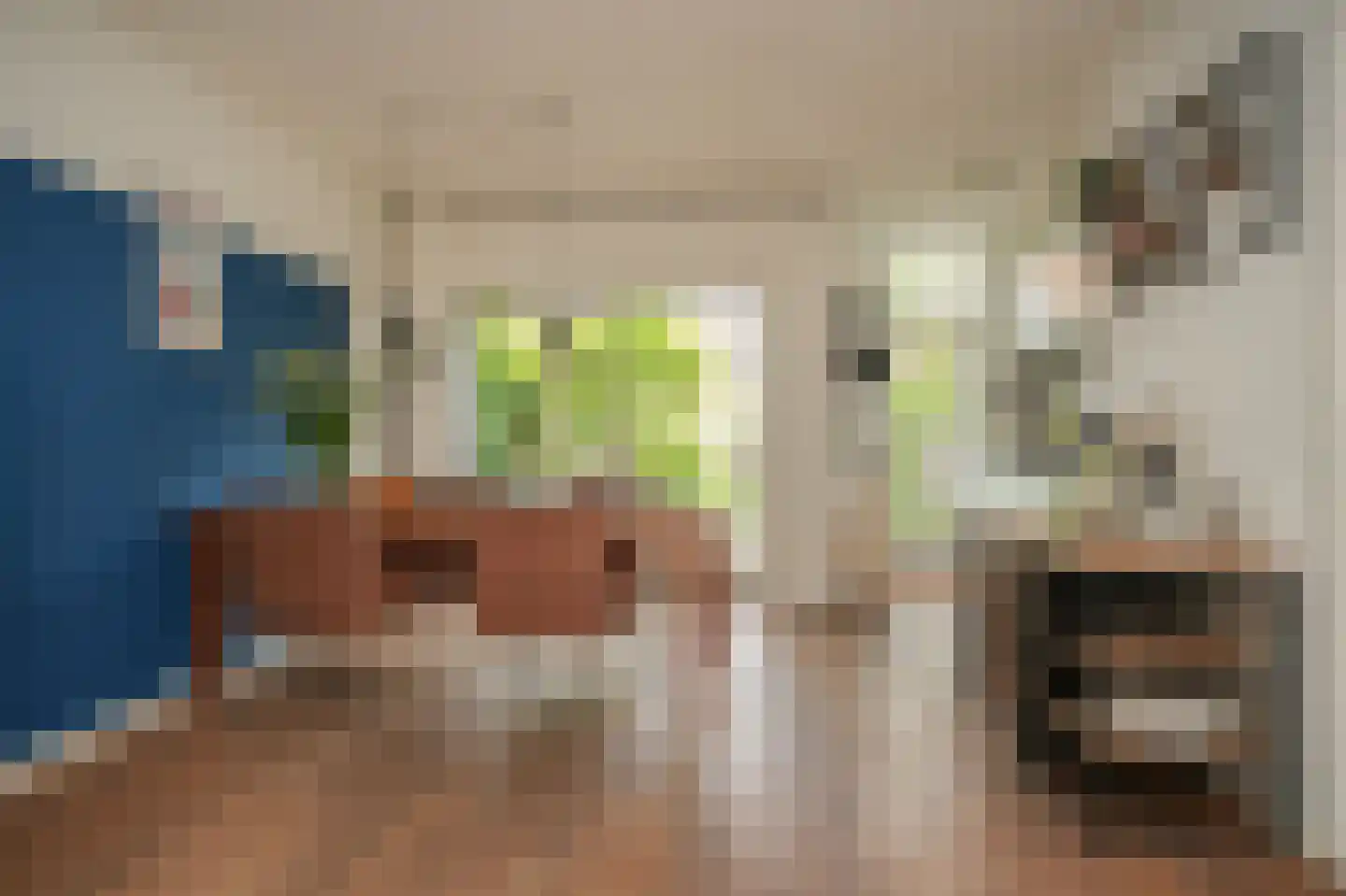 Pippelingstraat 26 Utrecht thumbnail 11
