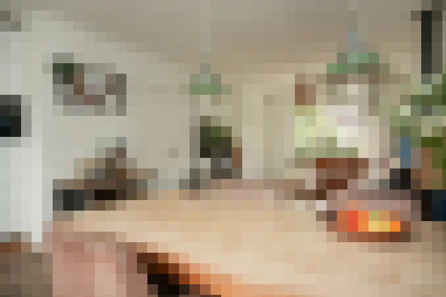 Pippelingstraat 26 Utrecht thumbnail 15