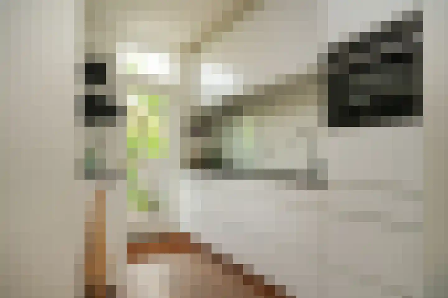 Pippelingstraat 26 Utrecht thumbnail 17