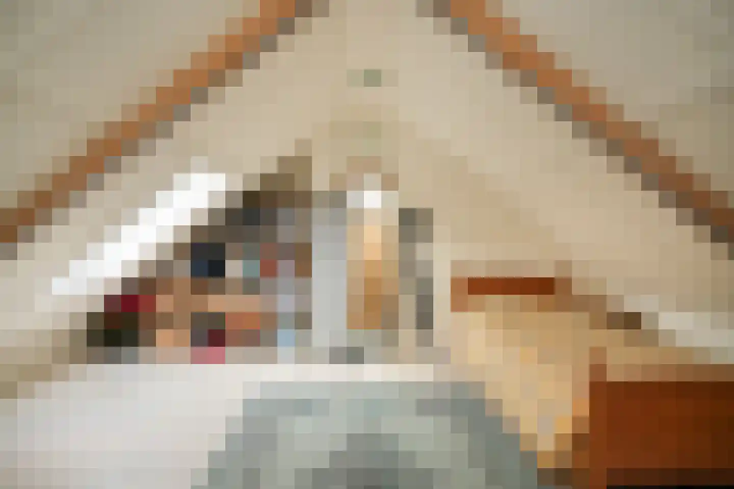 Pippelingstraat 26 Utrecht thumbnail 31