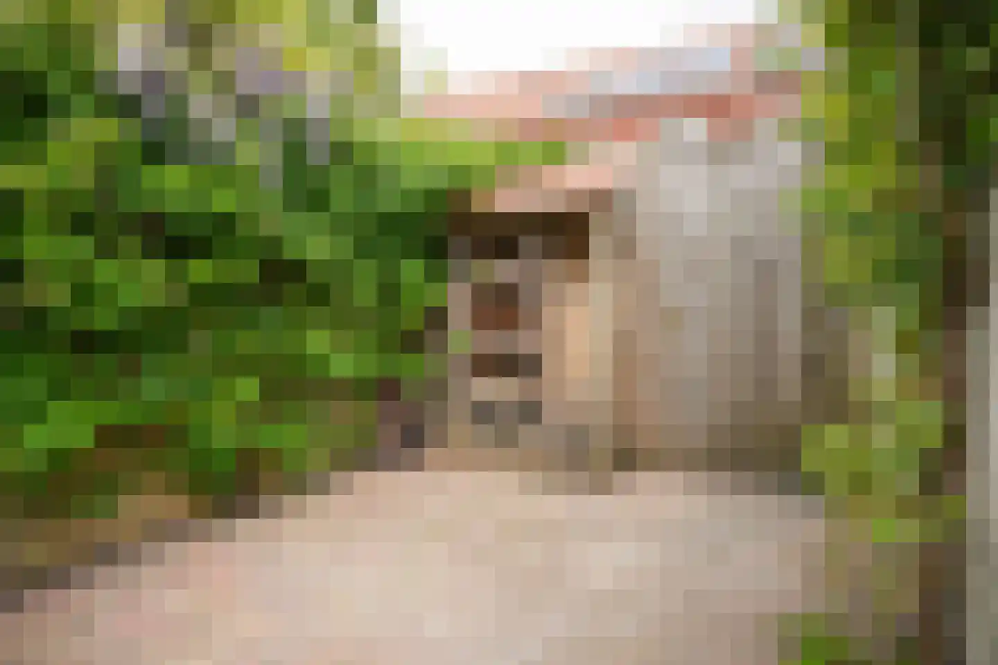 Pippelingstraat 26 Utrecht thumbnail 38