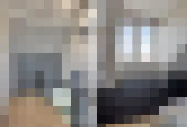 Pippelingstraat 33 Eindhoven thumbnail 27