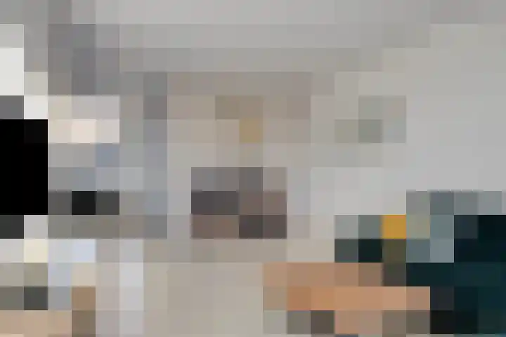 Pippelingstraat 33 Eindhoven thumbnail 8