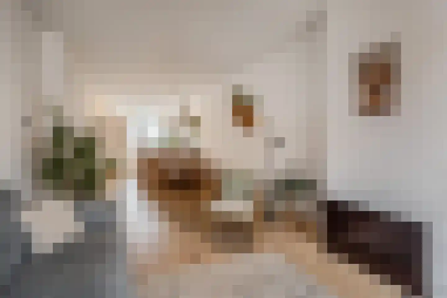 Pippelingstraat 34 B Den Haag thumbnail 4