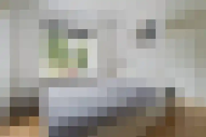 Pippelingstraat 41 Utrecht thumbnail 21