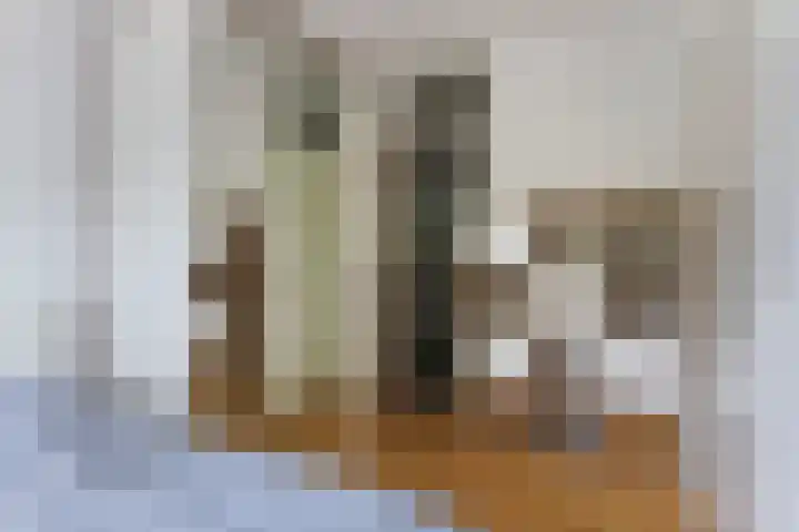 Pippelingstraat 41 Utrecht thumbnail 23