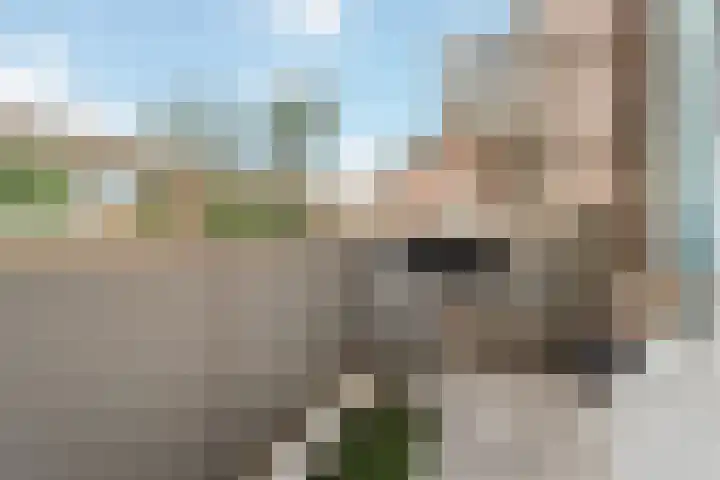 Pippelingstraat 41 Utrecht thumbnail 4