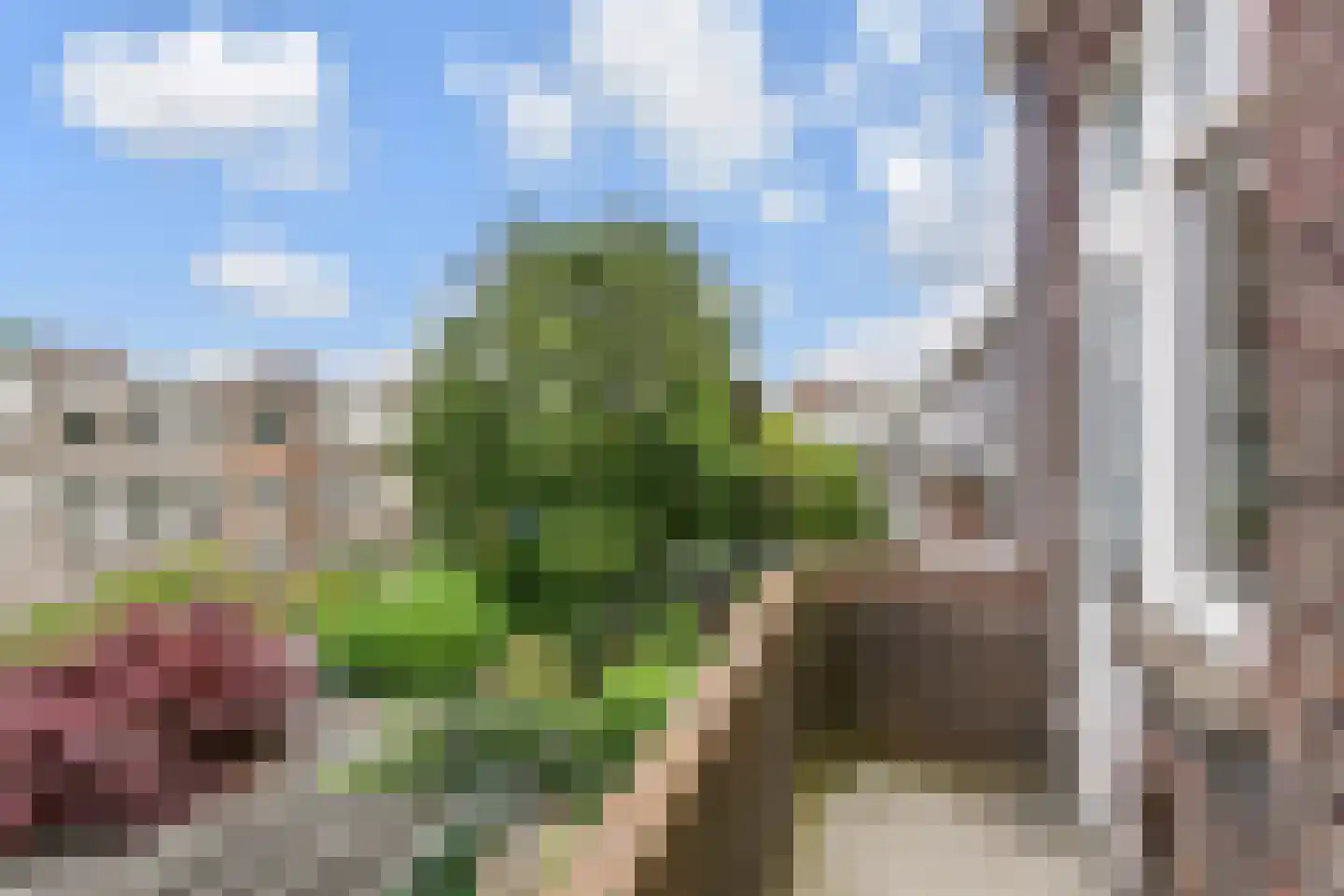 Pippelingstraat 43 Den Haag thumbnail 13