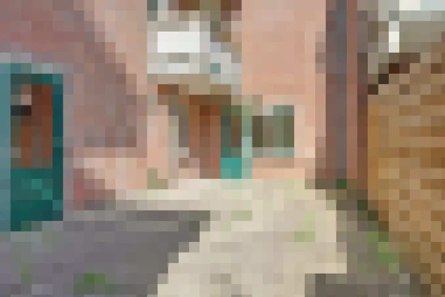 Pippelingstraat 47 Utrecht thumbnail 13