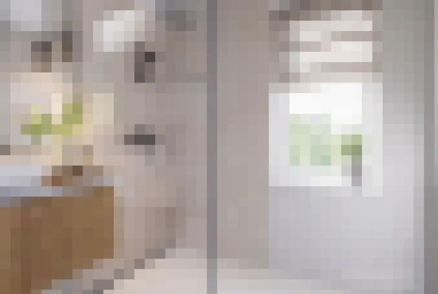 Pippelingstraat 47 Utrecht thumbnail 28