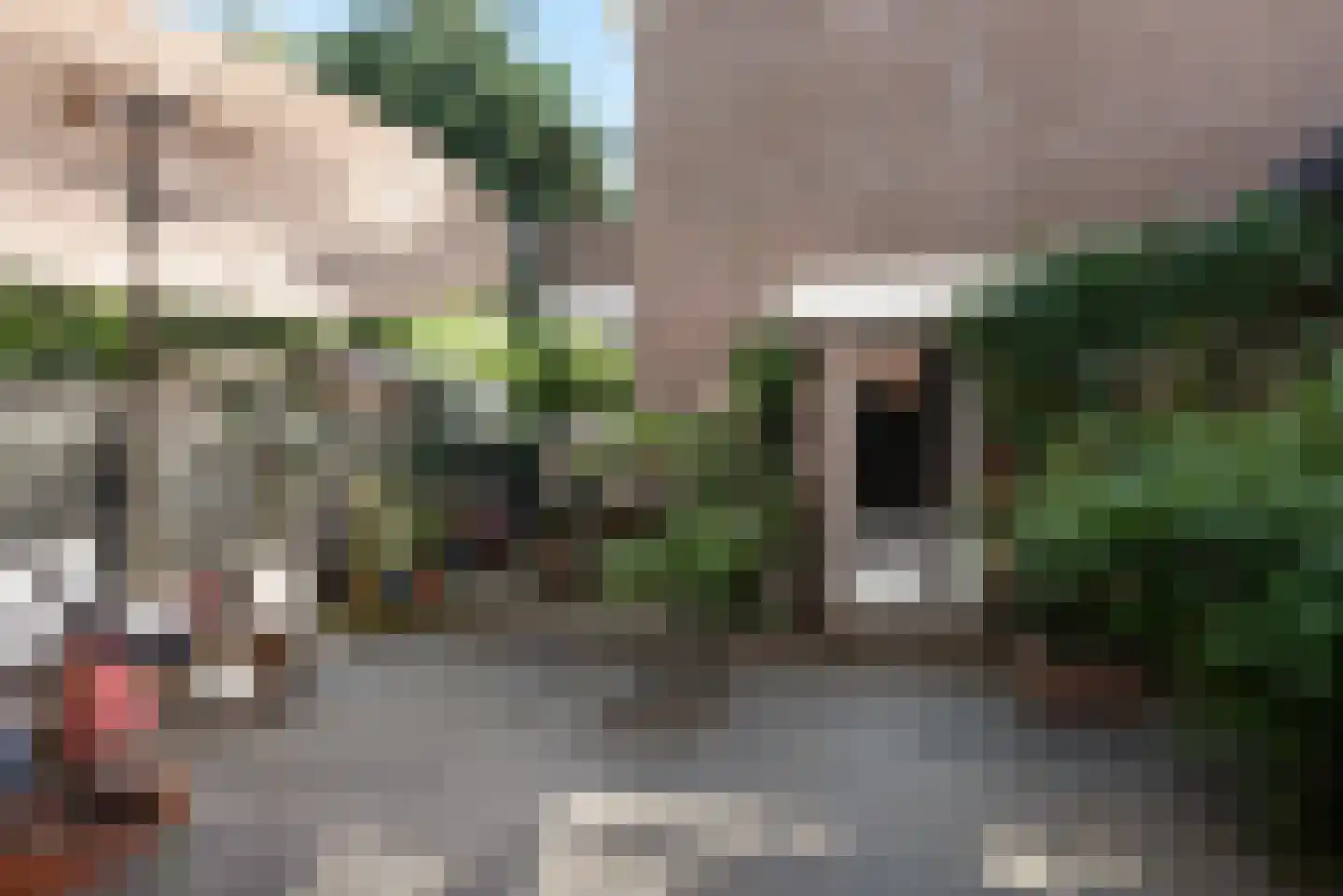 Pippelingstraat 60 Den Haag thumbnail 26