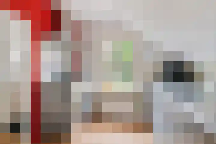 Pippertsestraat 2 Ophemert thumbnail 15