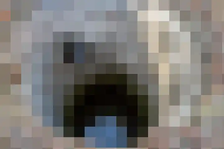 Pippertsestraat 2 Ophemert thumbnail 33