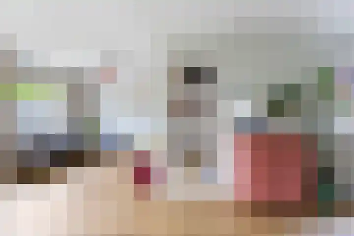 Pippijn van Herstalstraat 11 Wijk bij Duurstede thumbnail 13