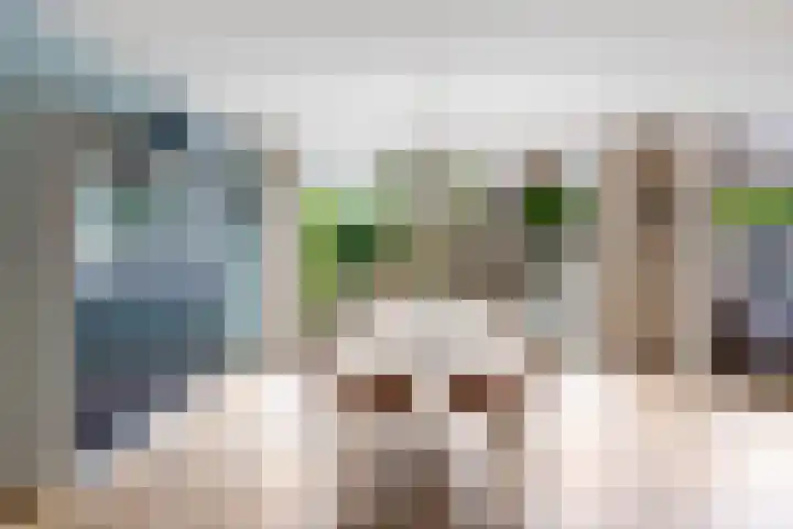 Pippijn van Herstalstraat 11 Wijk bij Duurstede thumbnail 18