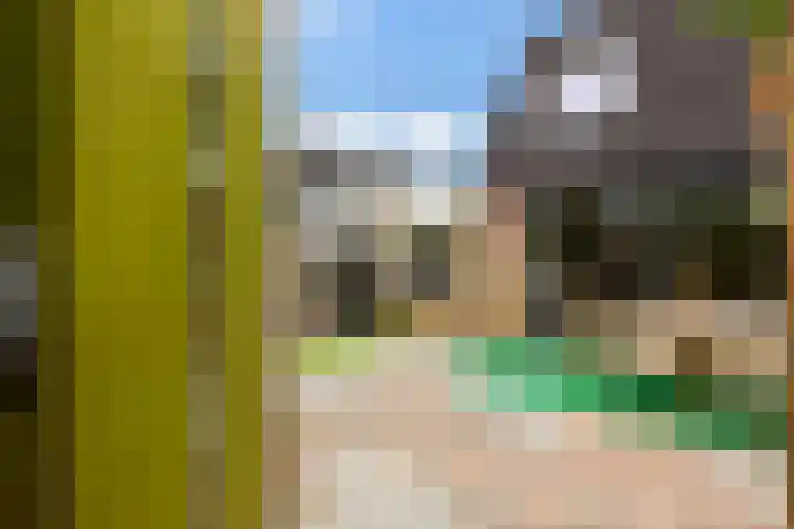 Pippijn van Herstalstraat 11 Wijk bij Duurstede thumbnail 32