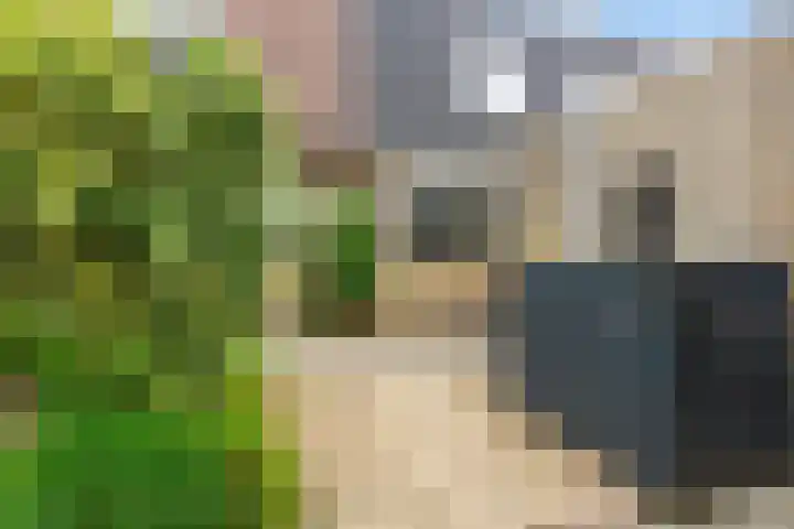 Pippijn van Herstalstraat 11 Wijk bij Duurstede thumbnail 4