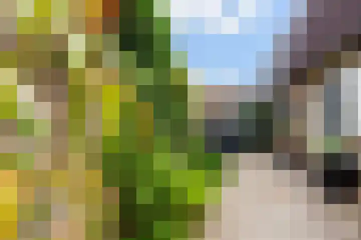 Pippijn van Herstalstraat 11 Wijk bij Duurstede thumbnail 6
