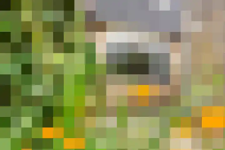 Pippijn van Herstalstraat 11 Wijk bij Duurstede thumbnail 8