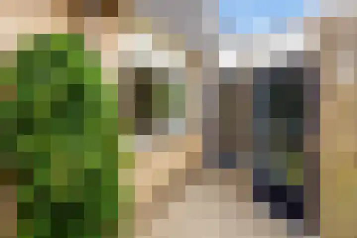Pippijn van Herstalstraat 11 Wijk bij Duurstede thumbnail 9