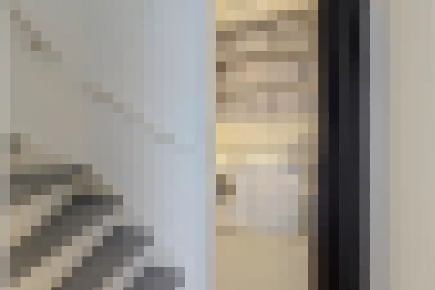 Pippijn van Herstalstraat 13 Wijk bij Duurstede thumbnail 13