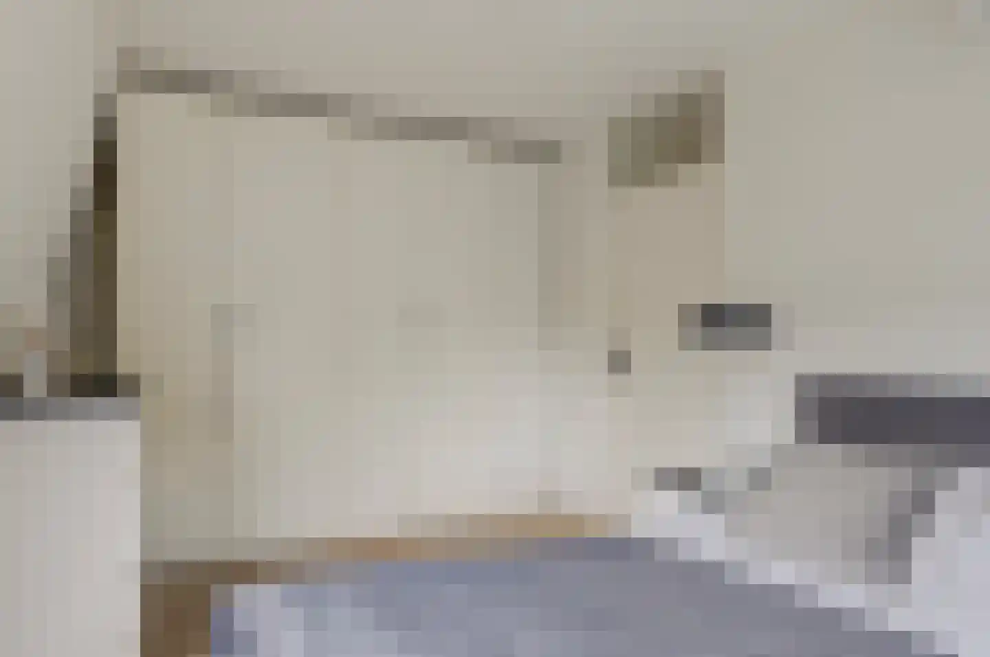 Pippijn van Herstalstraat 13 Wijk bij Duurstede thumbnail 17