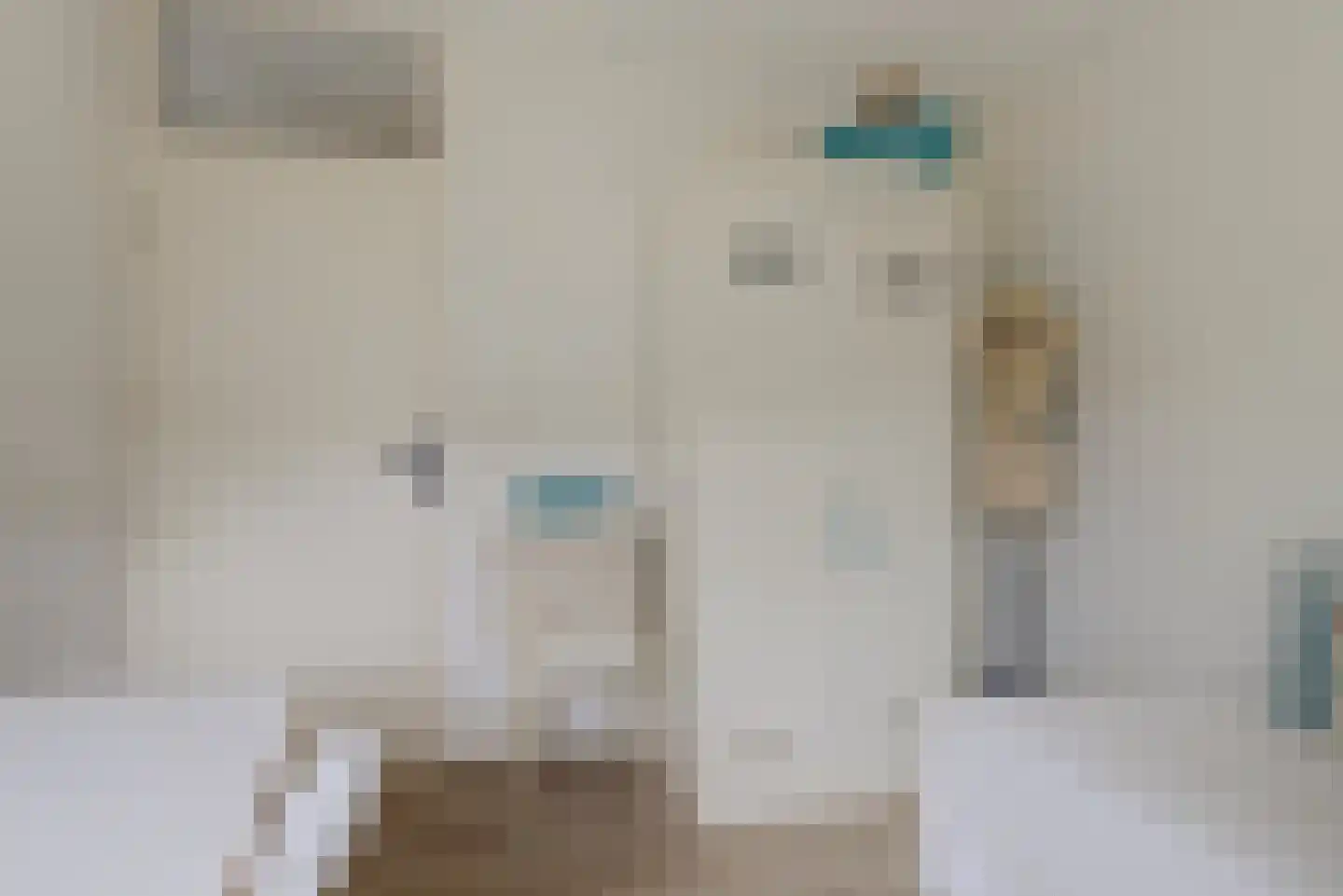 Pippijn van Herstalstraat 13 Wijk bij Duurstede thumbnail 20