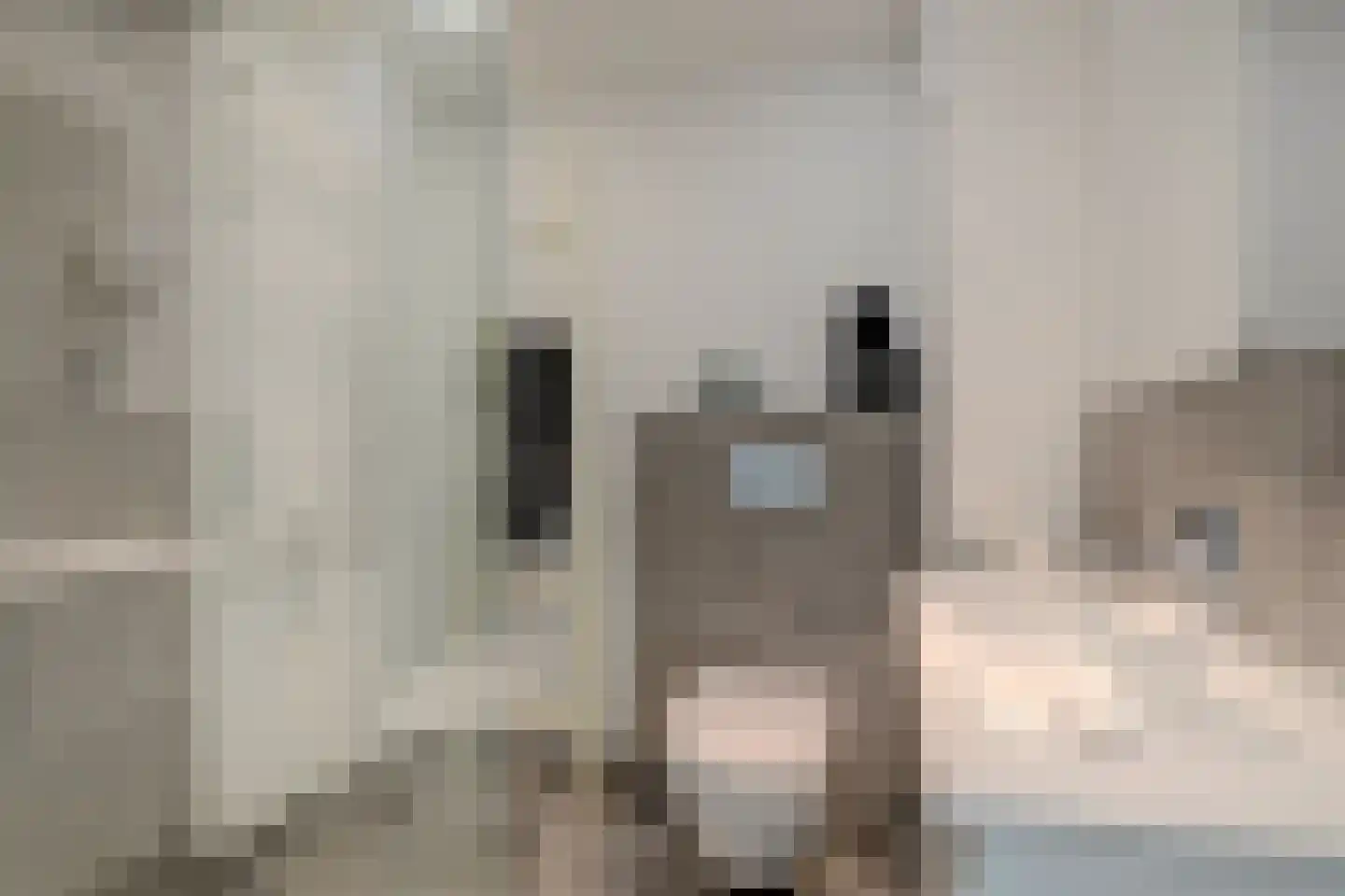 Pippijn van Herstalstraat 13 Wijk bij Duurstede thumbnail 21
