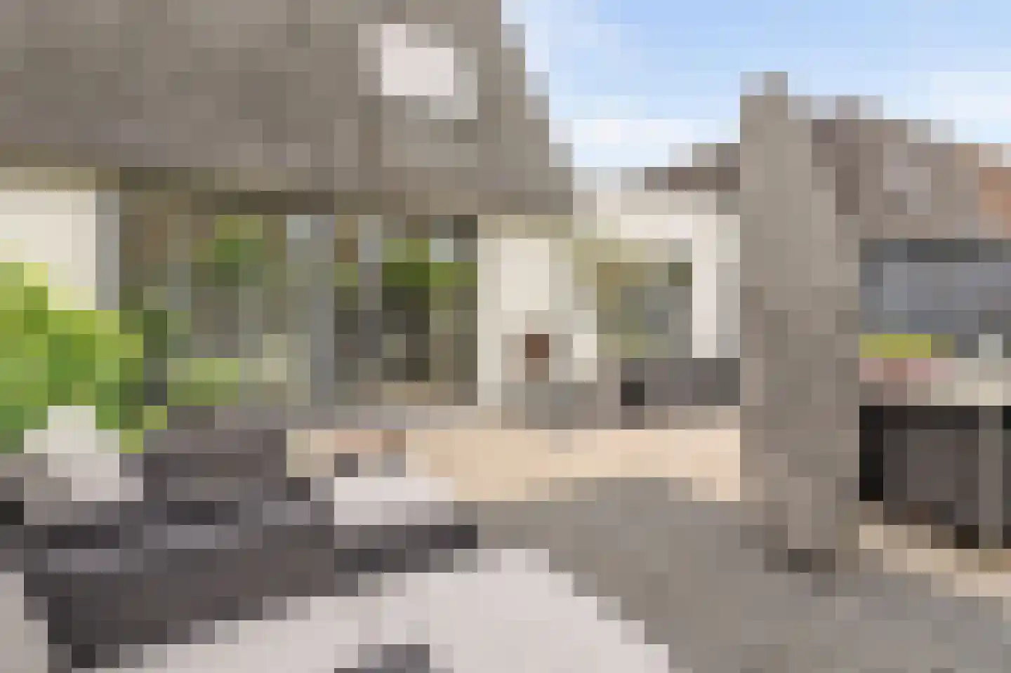 Pippijn van Herstalstraat 13 Wijk bij Duurstede thumbnail 24