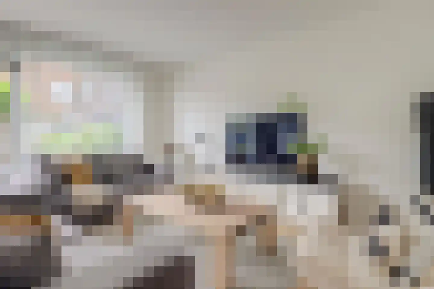 Pippijn van Herstalstraat 13 Wijk bij Duurstede thumbnail 5