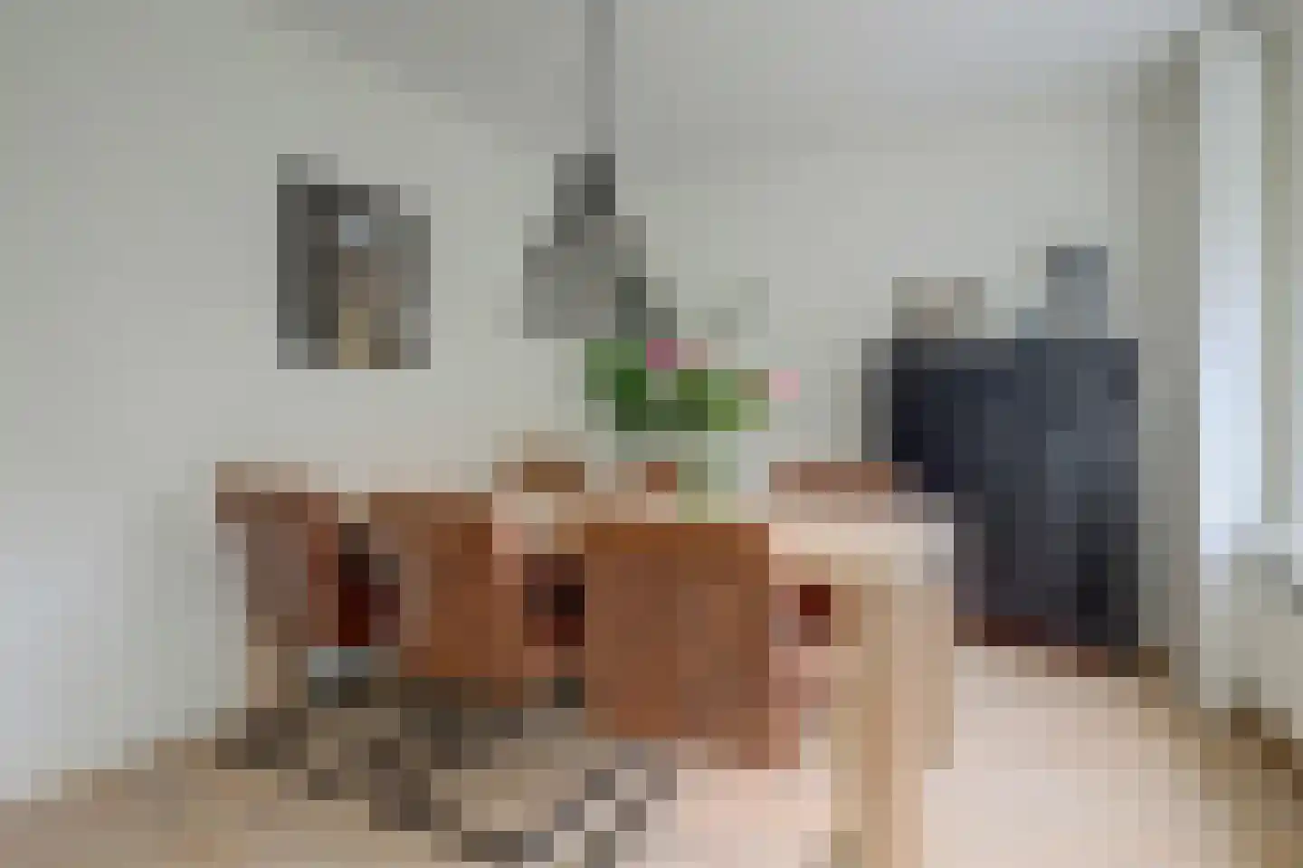 Pippijn van Herstalstraat 13 Wijk bij Duurstede thumbnail 8