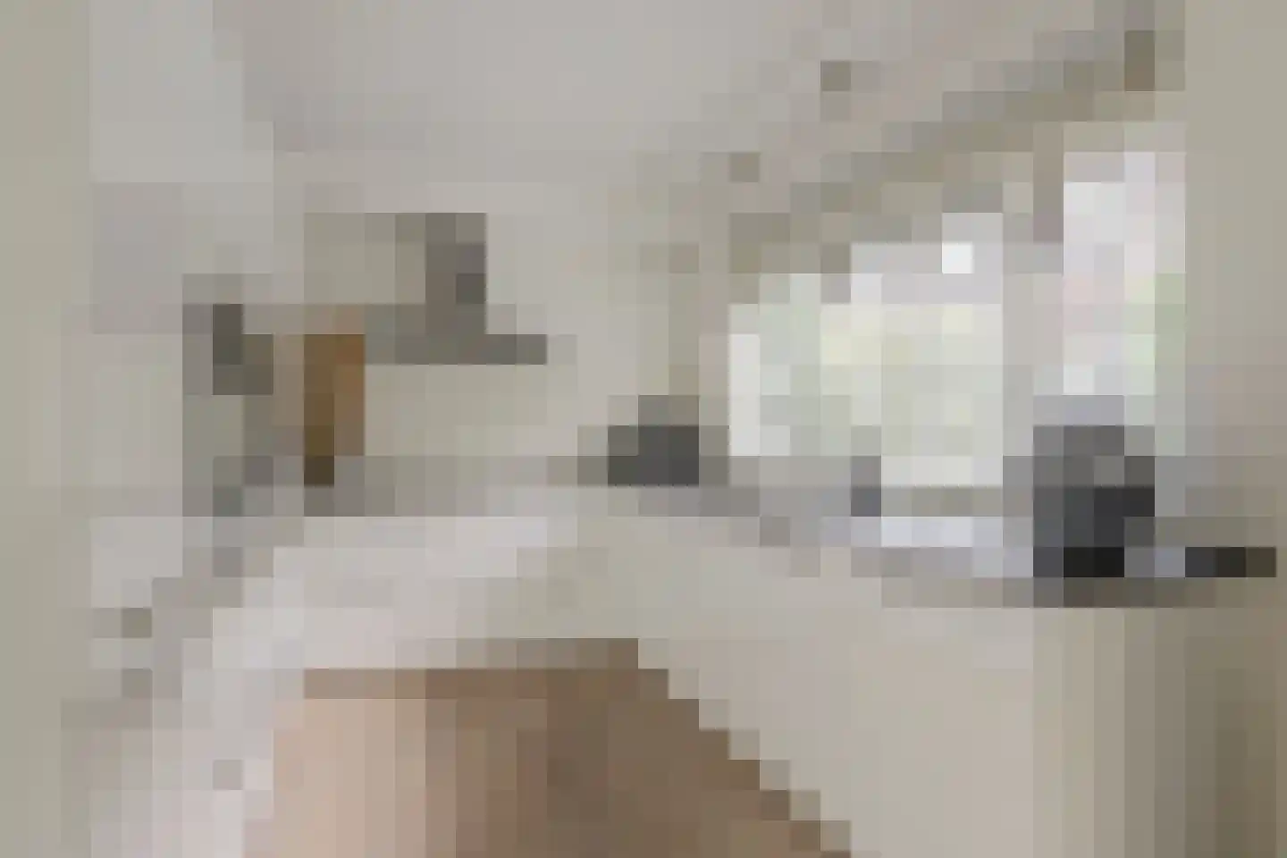 Pippijn van Herstalstraat 13 Wijk bij Duurstede thumbnail 9