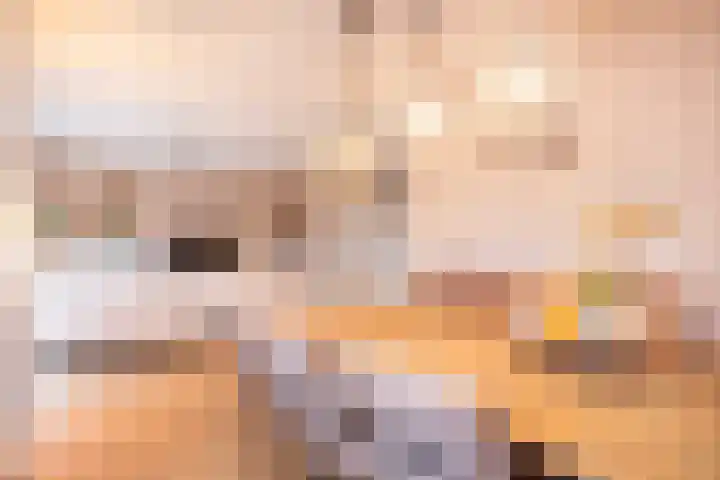 Pippijn van Herstalstraat 9 Wijk bij Duurstede thumbnail 11