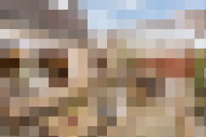 Pippijn van Herstalstraat 9 Wijk bij Duurstede thumbnail 17