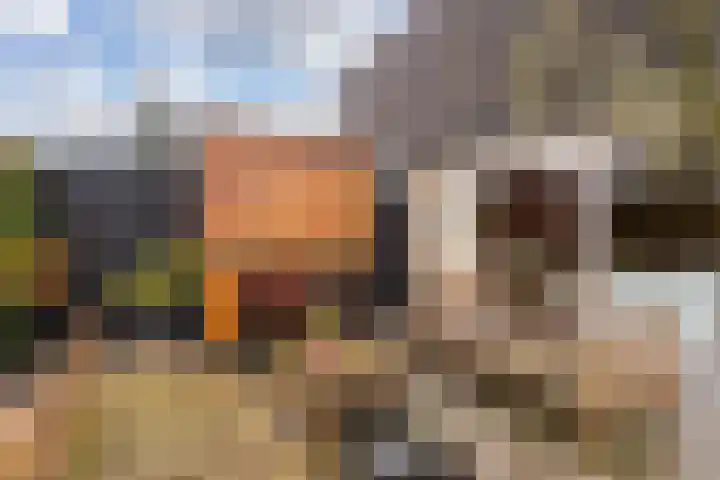 Pippijn van Herstalstraat 9 Wijk bij Duurstede thumbnail 18