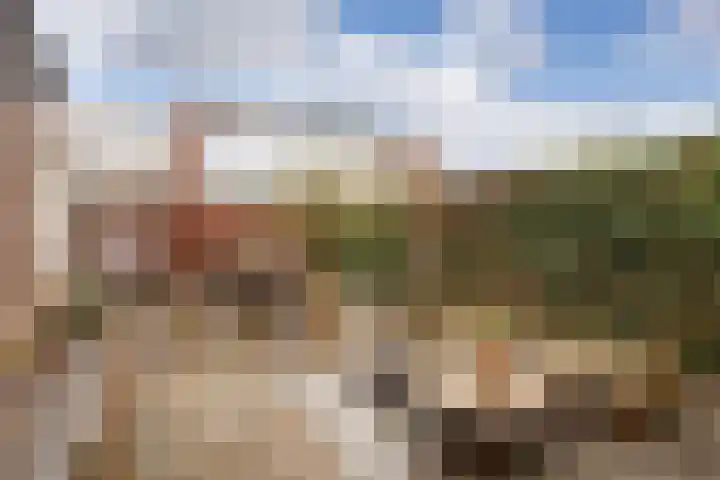 Pippijn van Herstalstraat 9 Wijk bij Duurstede thumbnail 22